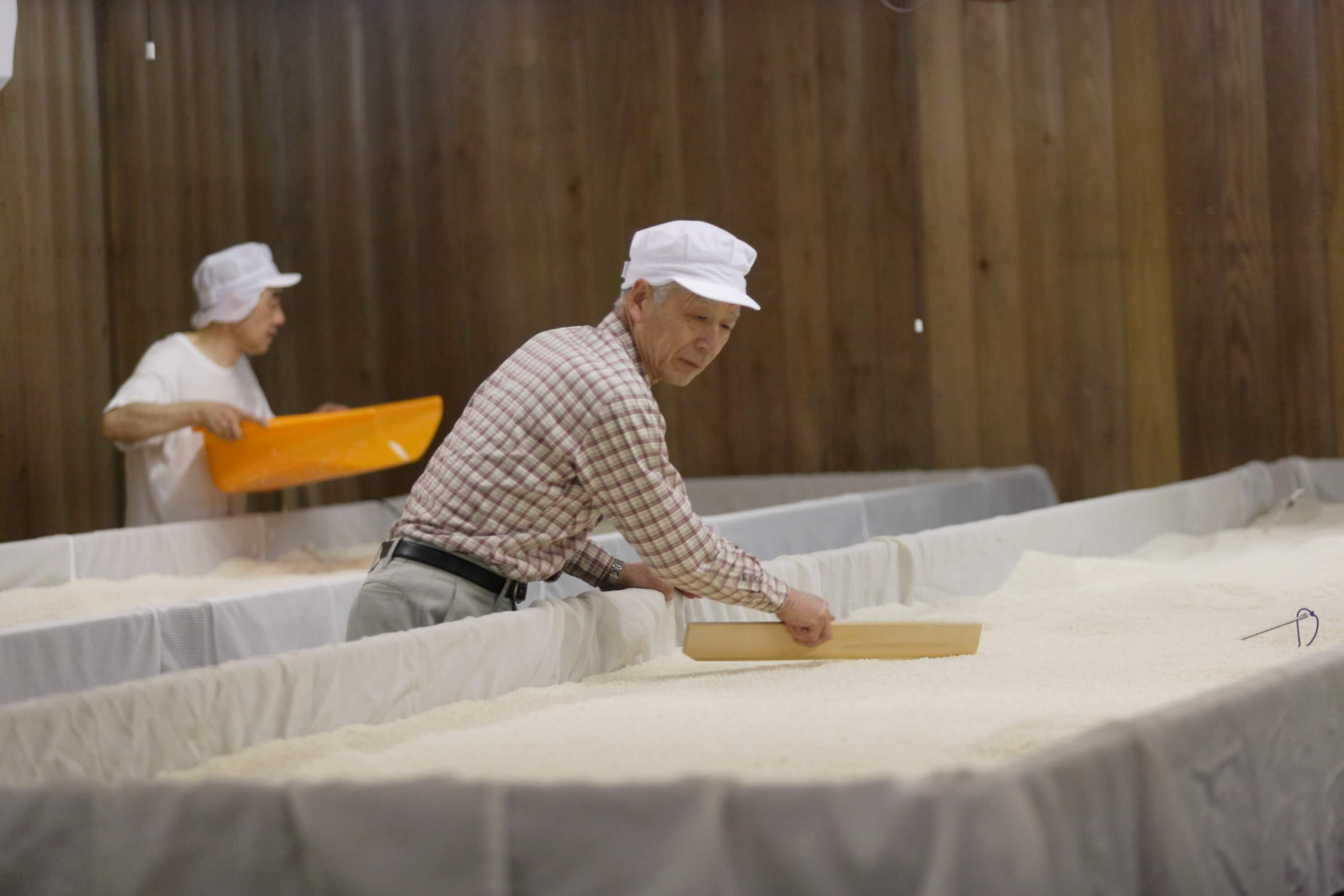 麹作りは重要な工程。温度と湿気の管理に細心の注意を払います。