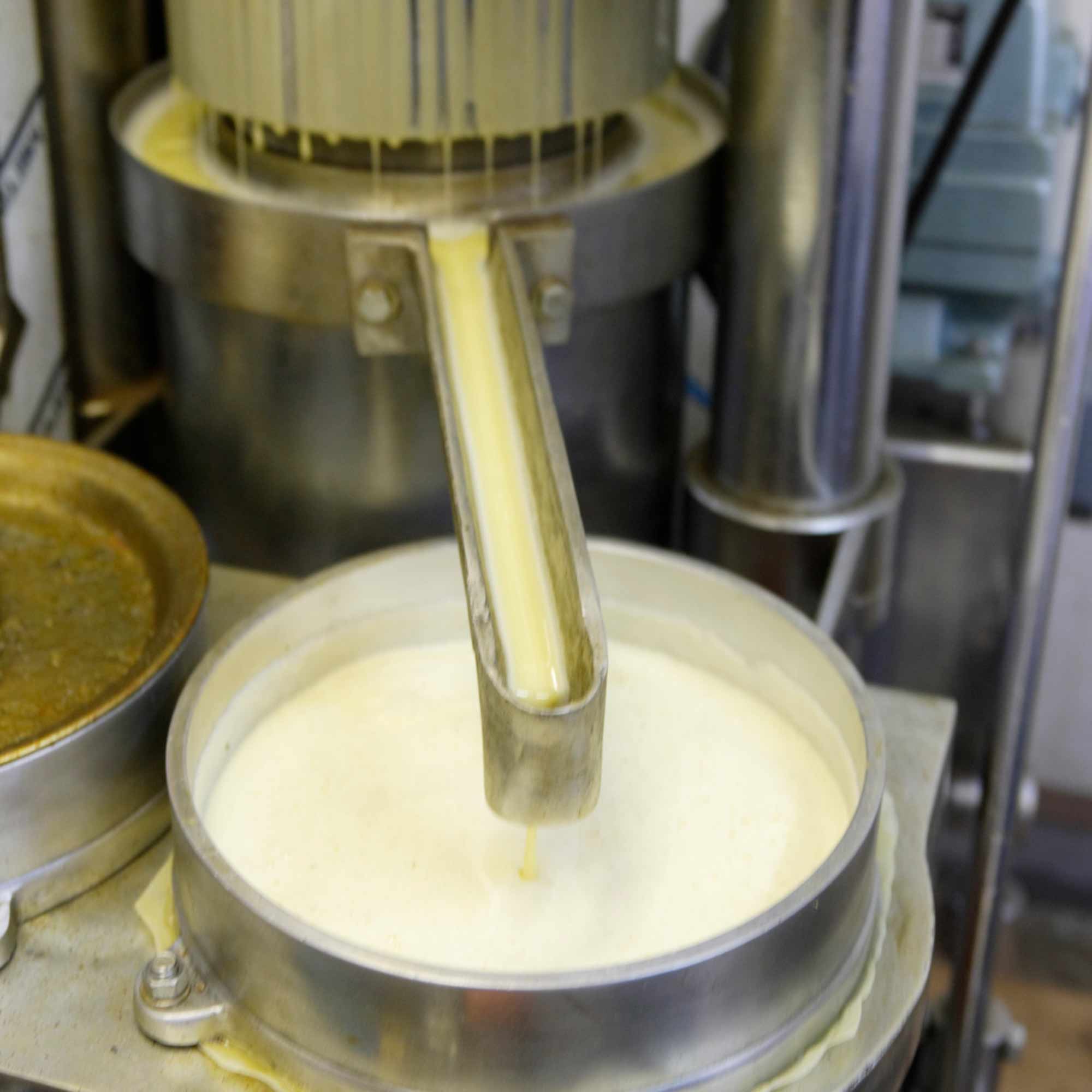 山形県アンテナショップおいしい山形　つくり手を訪ねて｜戸沢村エゴマの会：エゴマ油生産の本場・韓国より輸入した搾油機。600㎏の圧力を掛け搾られていきます。