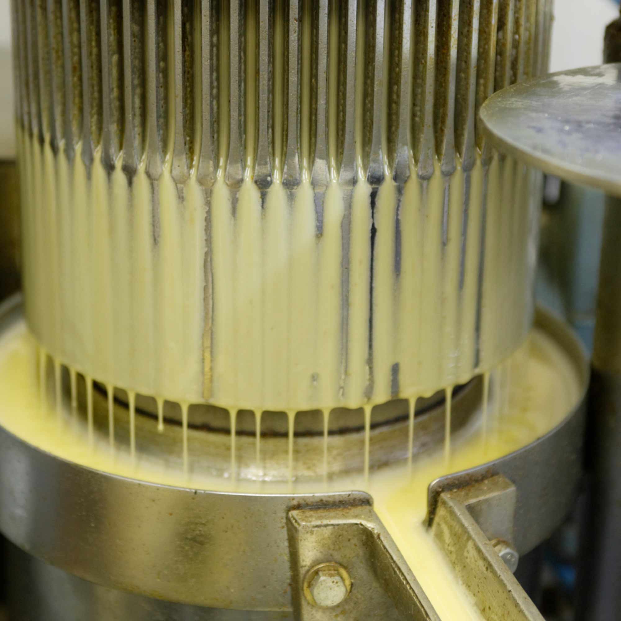 山形県アンテナショップおいしい山形　つくり手を訪ねて｜戸沢村エゴマの会：
                一気に溢れ出たエゴマ油。熱を加えずドレッシングなどに使うと香ばしい香りを堪能できます。