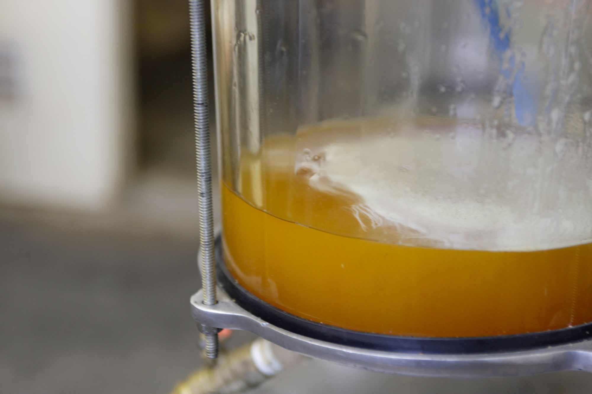 山形県アンテナショップおいしい山形　つくり手を訪ねて｜消泡剤を使わず、脱臭・脱色も行わない、無添加のエゴマ油は、黄金色の濃厚な色合いです。