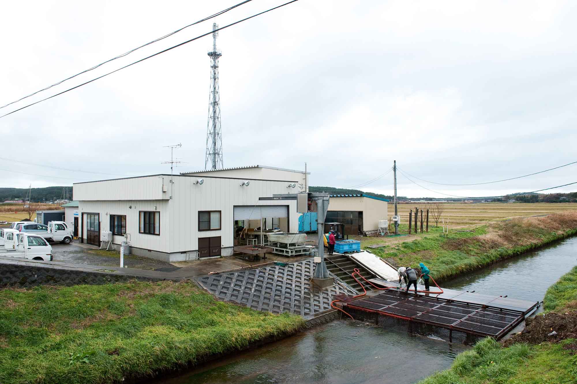 山形県アンテナショップおいしい山形　つくり手を訪ねて｜さけます増殖資源加工センター