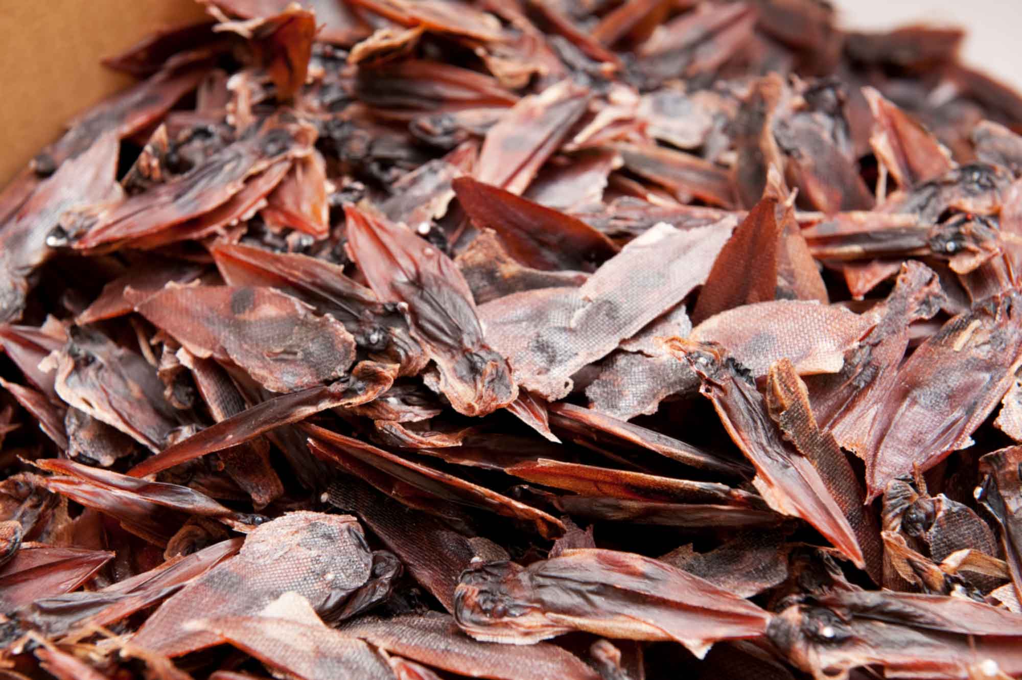 山形県アンテナショップおいしい山形　つくり手を訪ねて｜有限会社木川屋本店：
                肝もまるごと干しているため、口の中に濃厚な味わいが広がります。一度食べたらやみつきになるおいしさ。