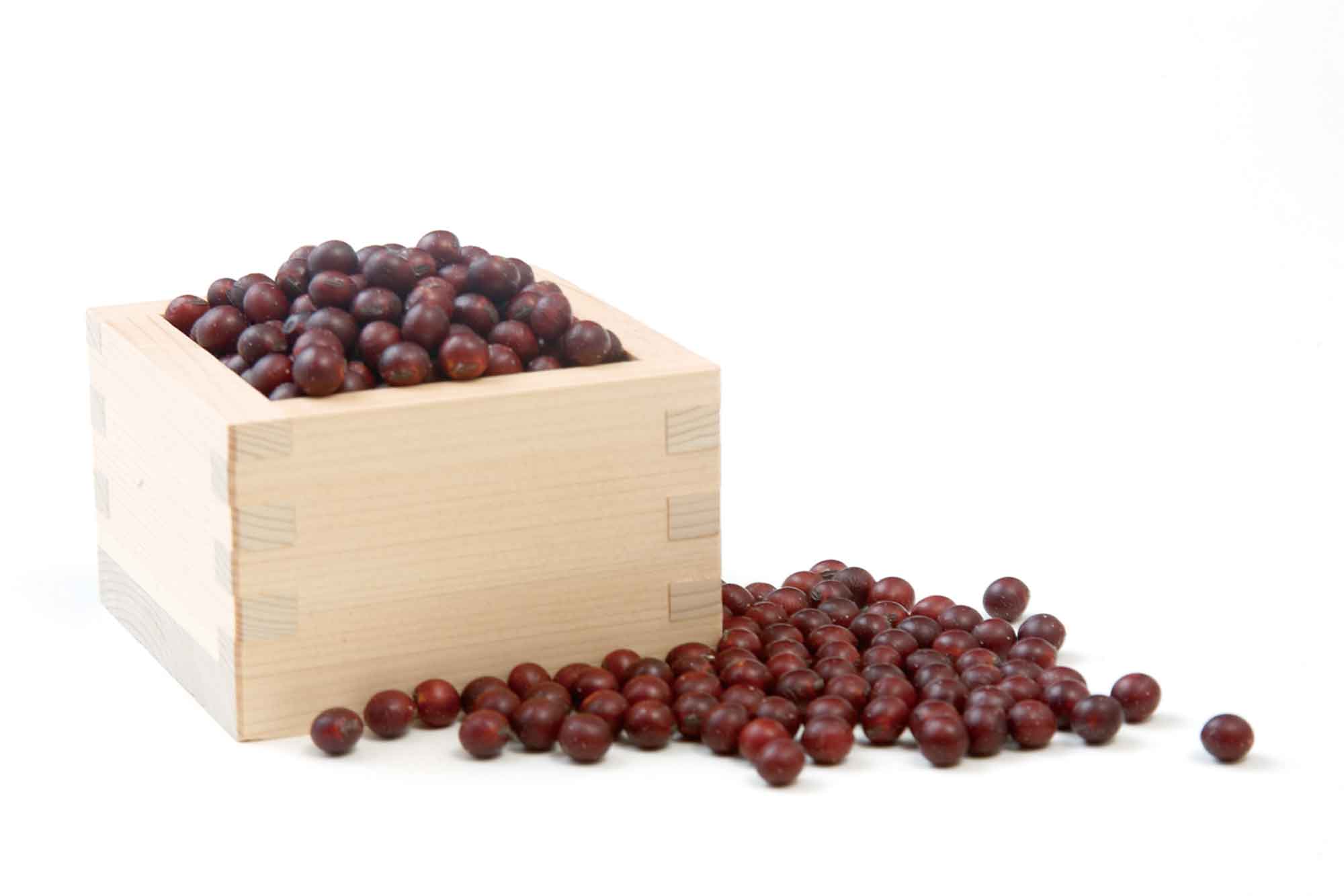 山形県アンテナショップおいしい山形　つくり手を訪ねて｜有限会社酢屋吉正：
                川西町特産の貴重な紅大豆。甘みが特長で、味噌のほか煮豆もおいしい。もちもちっとした煮豆は女性に人気。