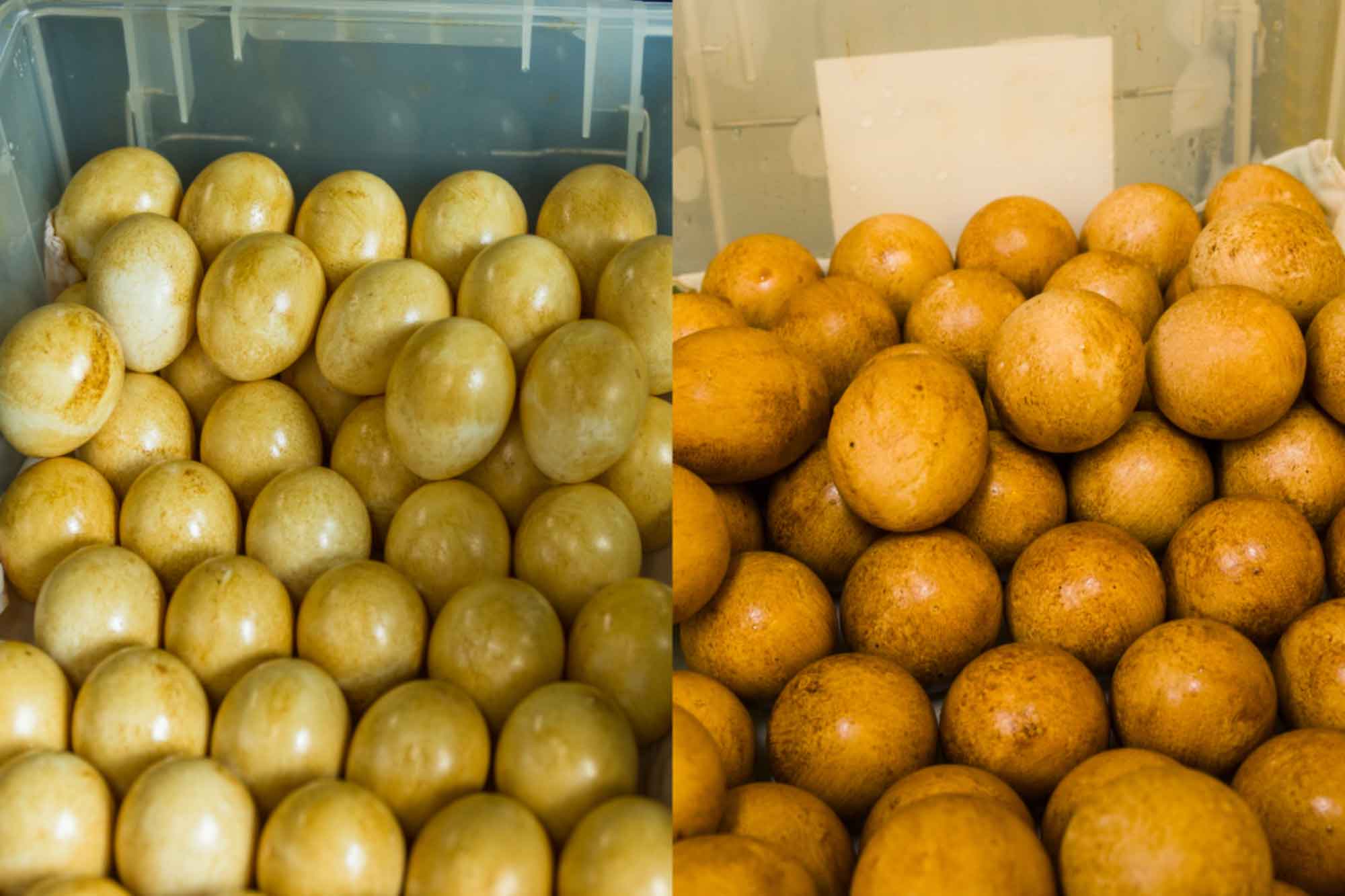 山形県アンテナショップおいしい山形　つくり手を訪ねて｜有限会社半澤鶏卵：上が熟成前の卵。下が熟成後の卵。色が濃くなっていることがわかります。