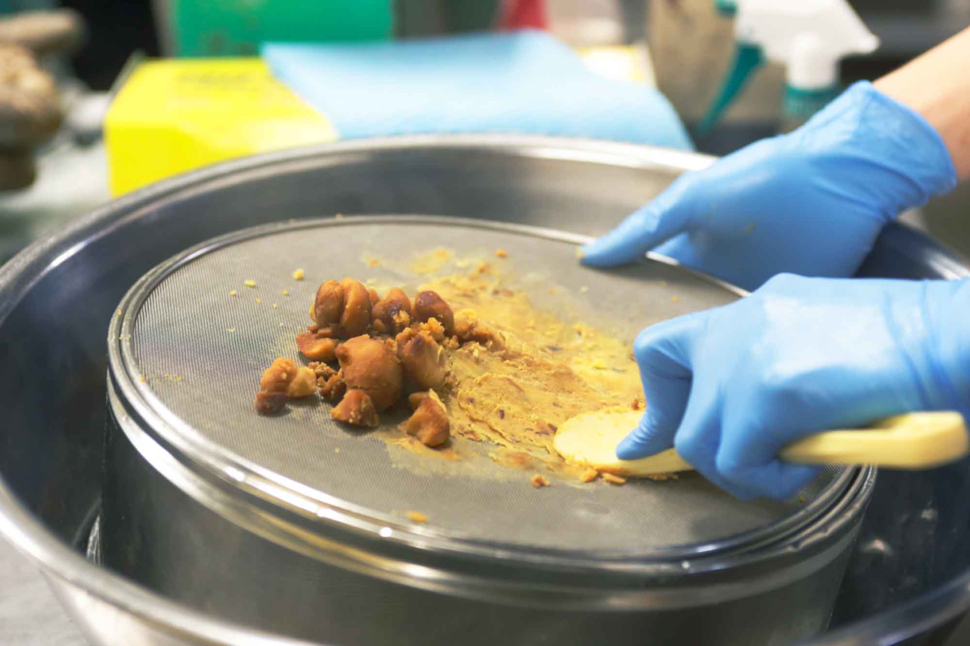 山形県アンテナショップおいしい山形　つくり手を訪ねて｜出羽菓子処みのりや（有限会社達商）：
                【うらごし】とちの実は色合いによって微妙な味の差が。均一な味に仕上げるため、職人の技が光る。