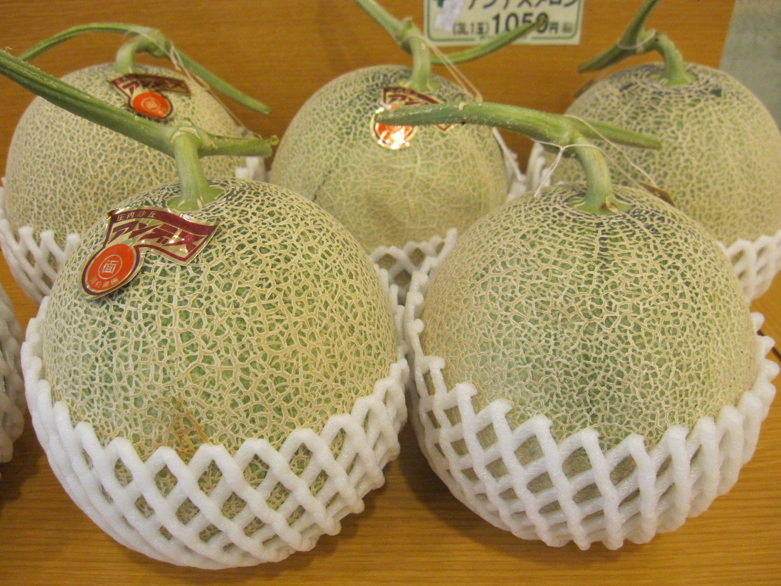 庄内砂丘メロン