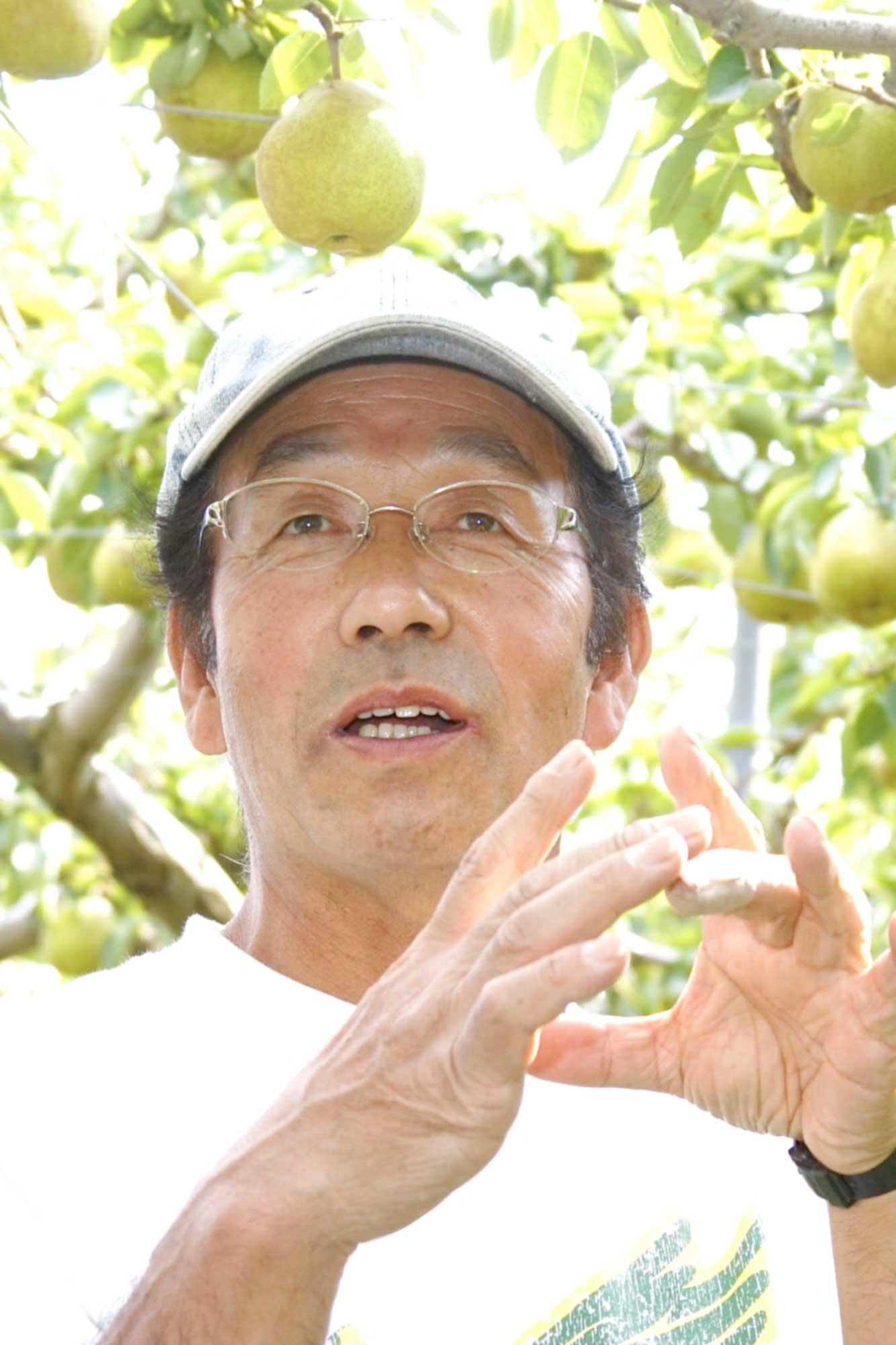 山形県アンテナショップおいしい山形　素材を訪ねて｜ラ･フランス：平武雄さん　（高畠町）