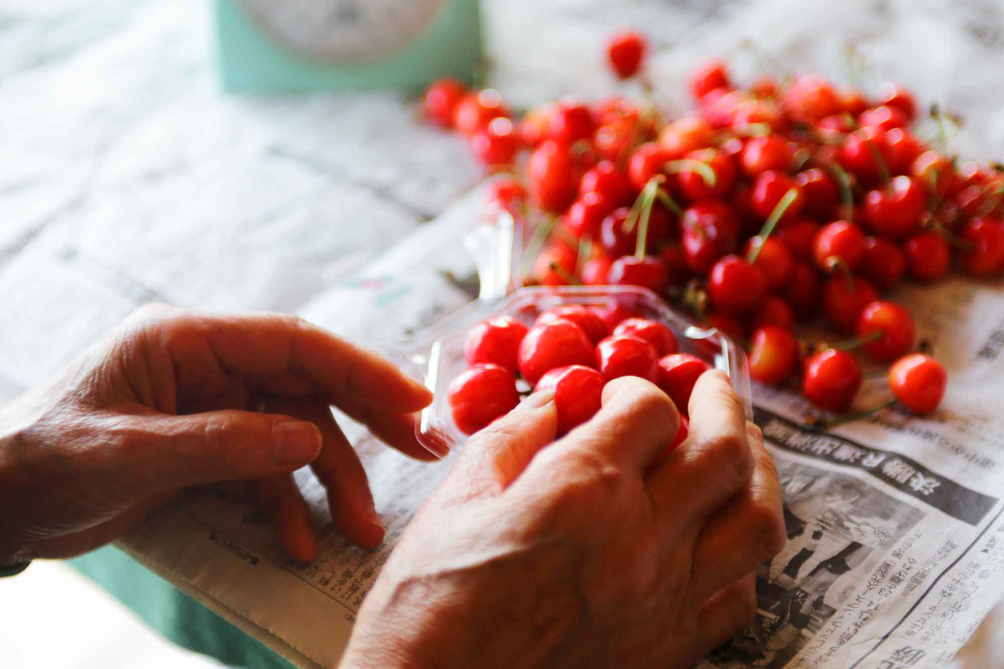 山形県アンテナショップおいしい山形　素材を訪ねて｜さくらんぼ：
                さくらんぼが傷まないよう、一粒一粒丁寧に、手作業でパックに納められます。  