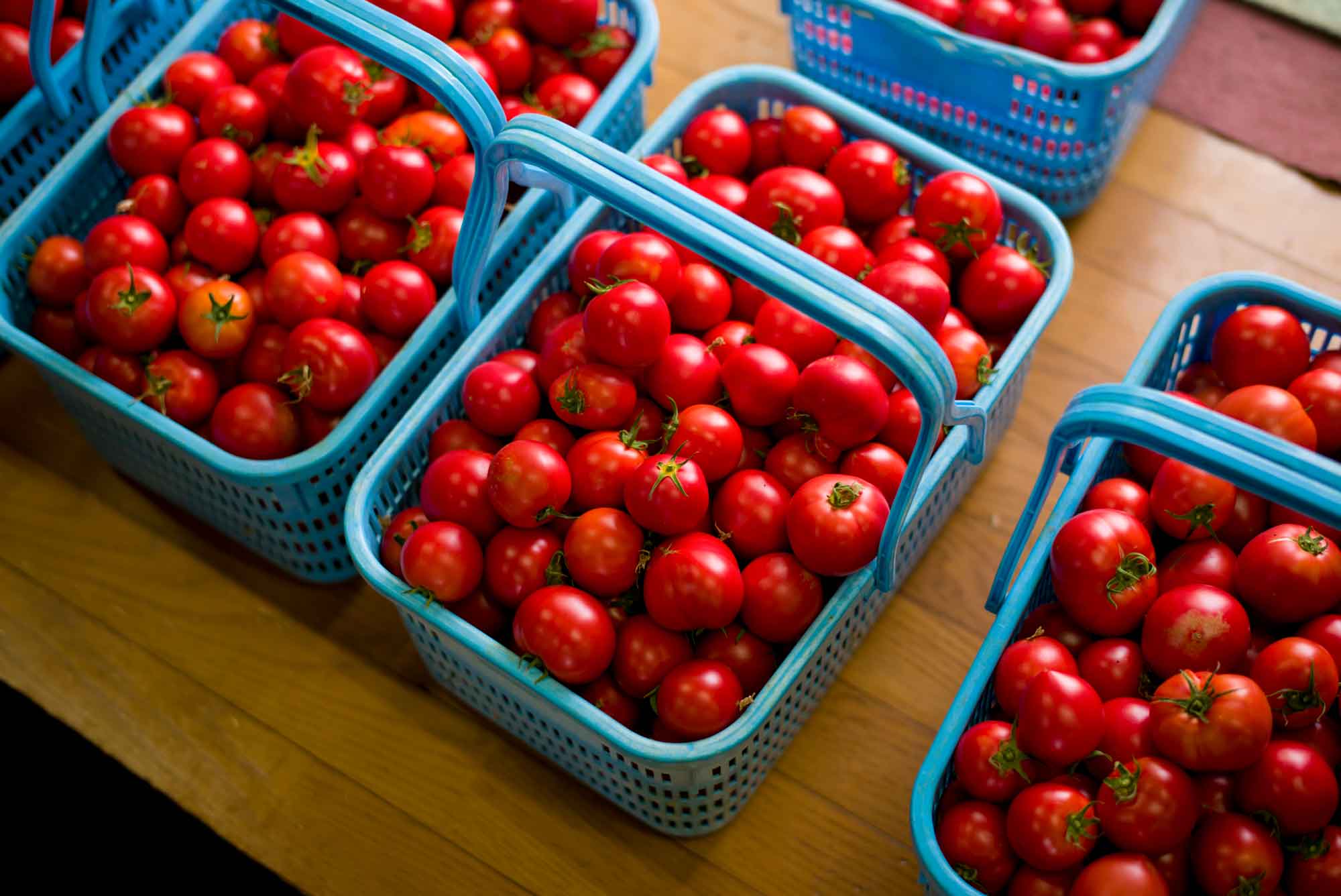 山形県アンテナショップおいしい山形　素材を訪ねて｜米沢トマト：
                    小ぶりで、しっかり美味しさの詰まった「米沢トマト」