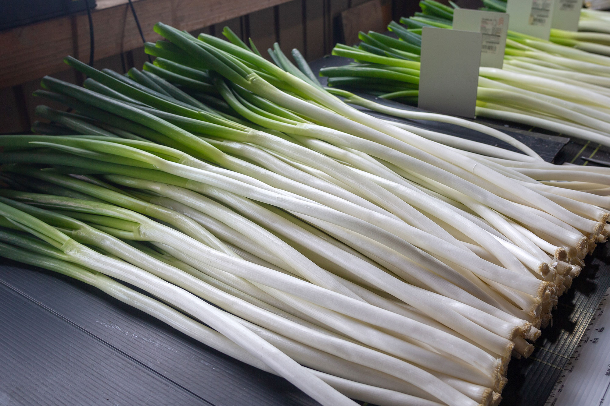 山形県アンテナショップおいしい山形　素材を訪ねて｜白露ねぎ：通常の露地物より“軟白”部が長い白露ねぎ