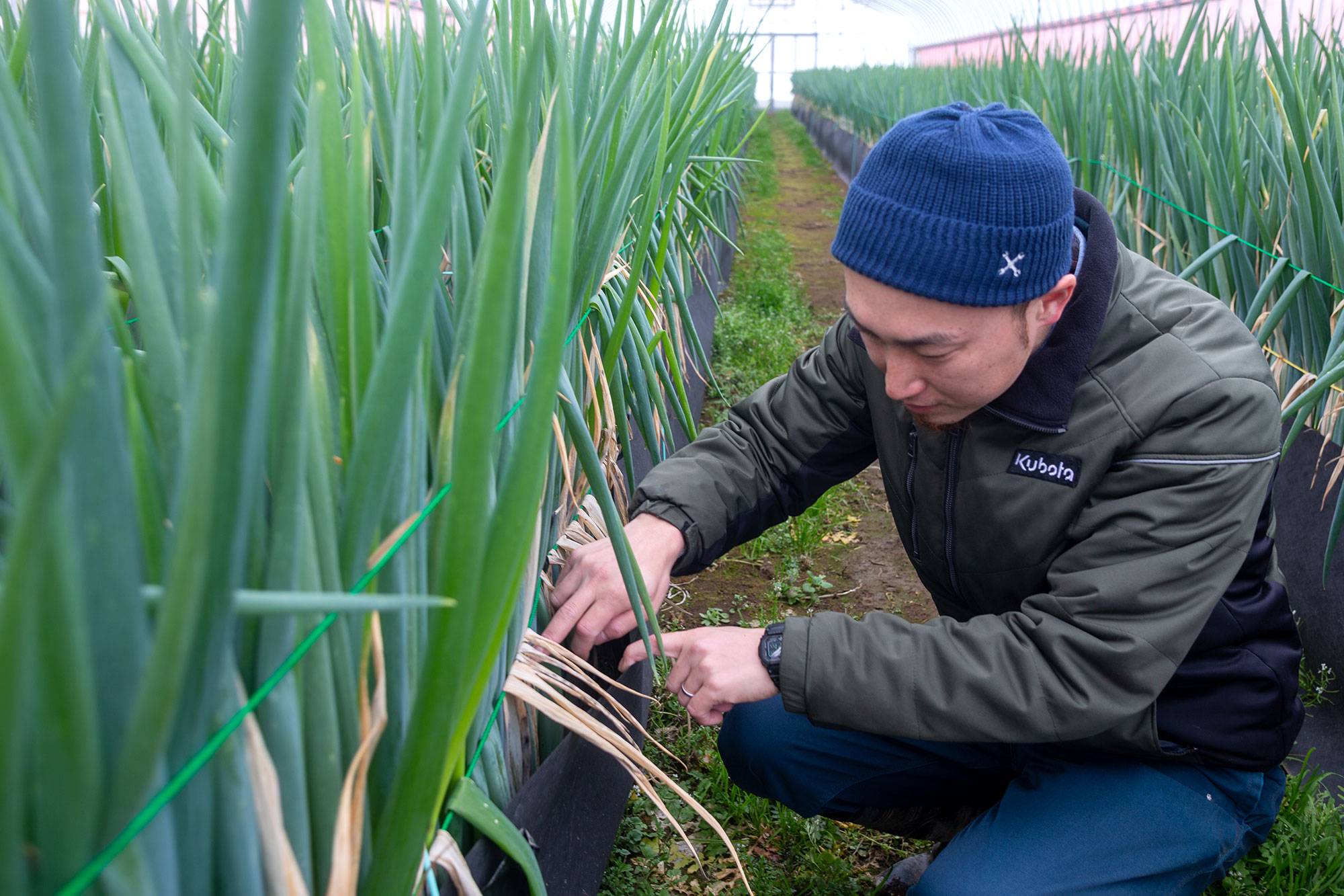山形県アンテナショップおいしい山形　素材を訪ねて｜白露ねぎ：まっすぐ育つよう工夫を欠かさない