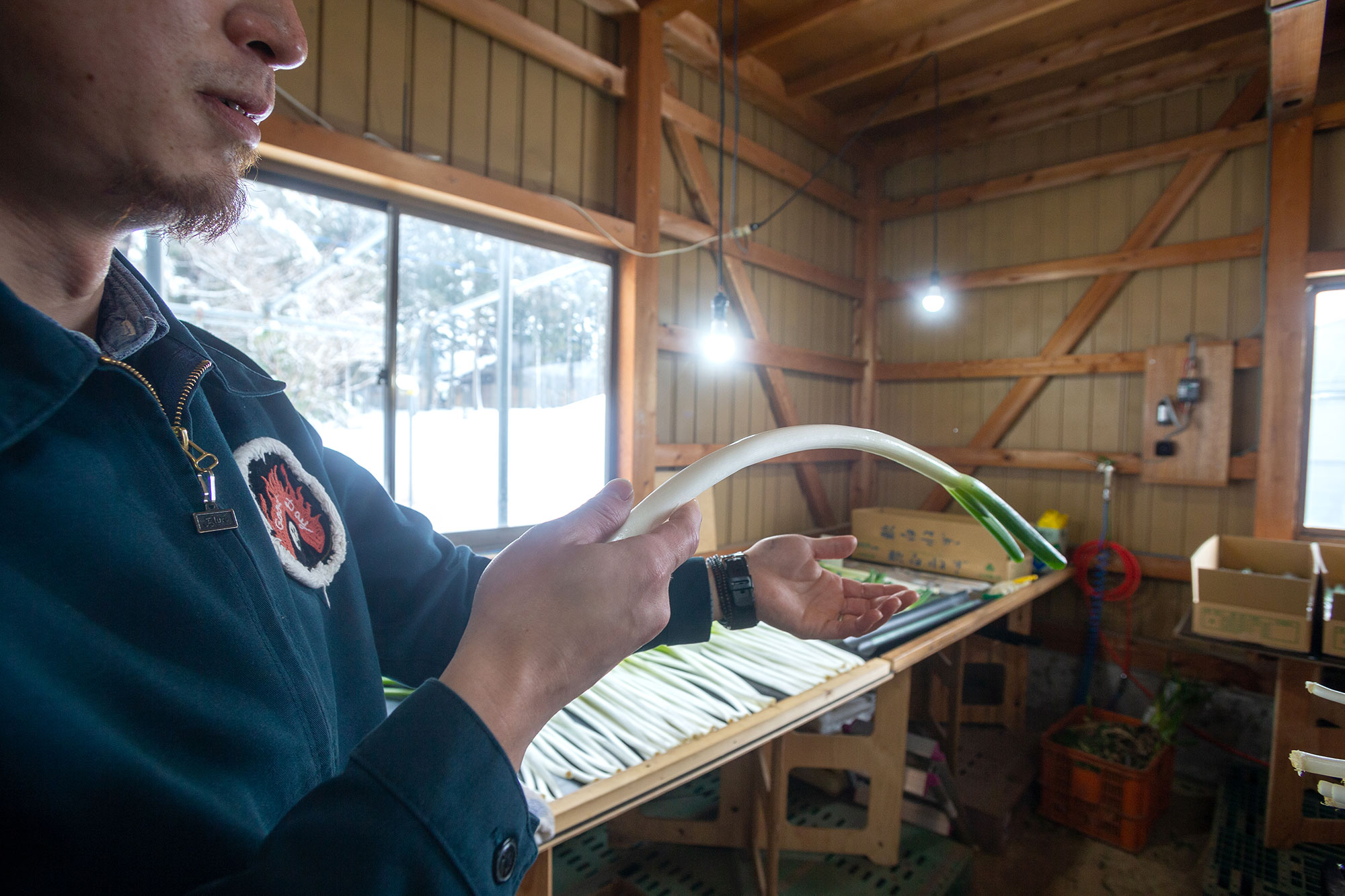 山形県アンテナショップおいしい山形　素材を訪ねて｜白露ねぎ：極めて柔らかい白露ねぎ