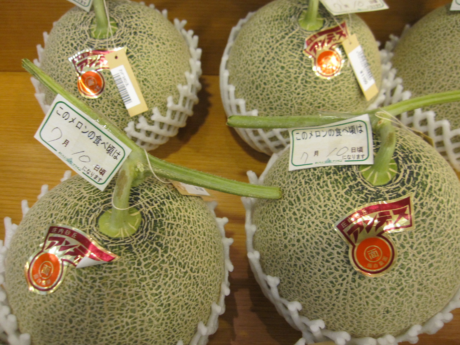 庄内砂丘メロン