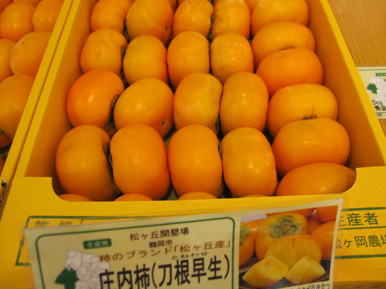 庄内柿　バラ