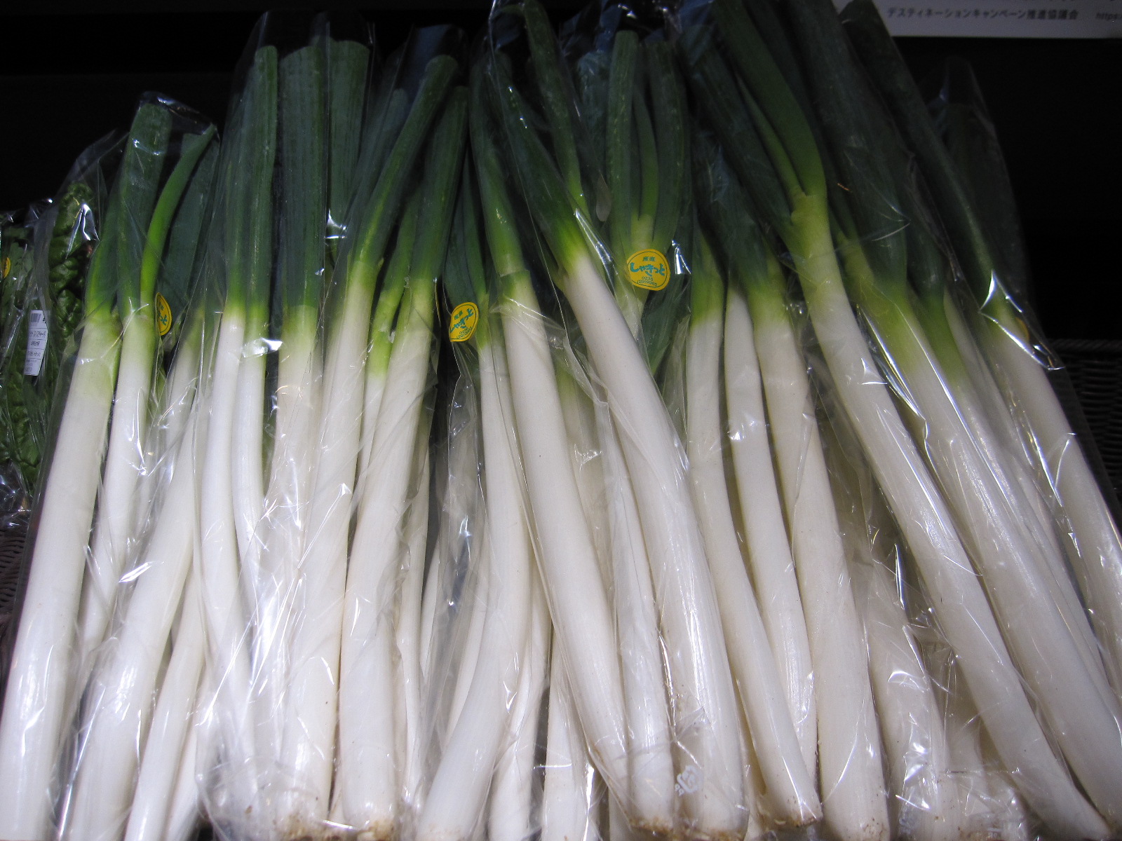 長ねぎ