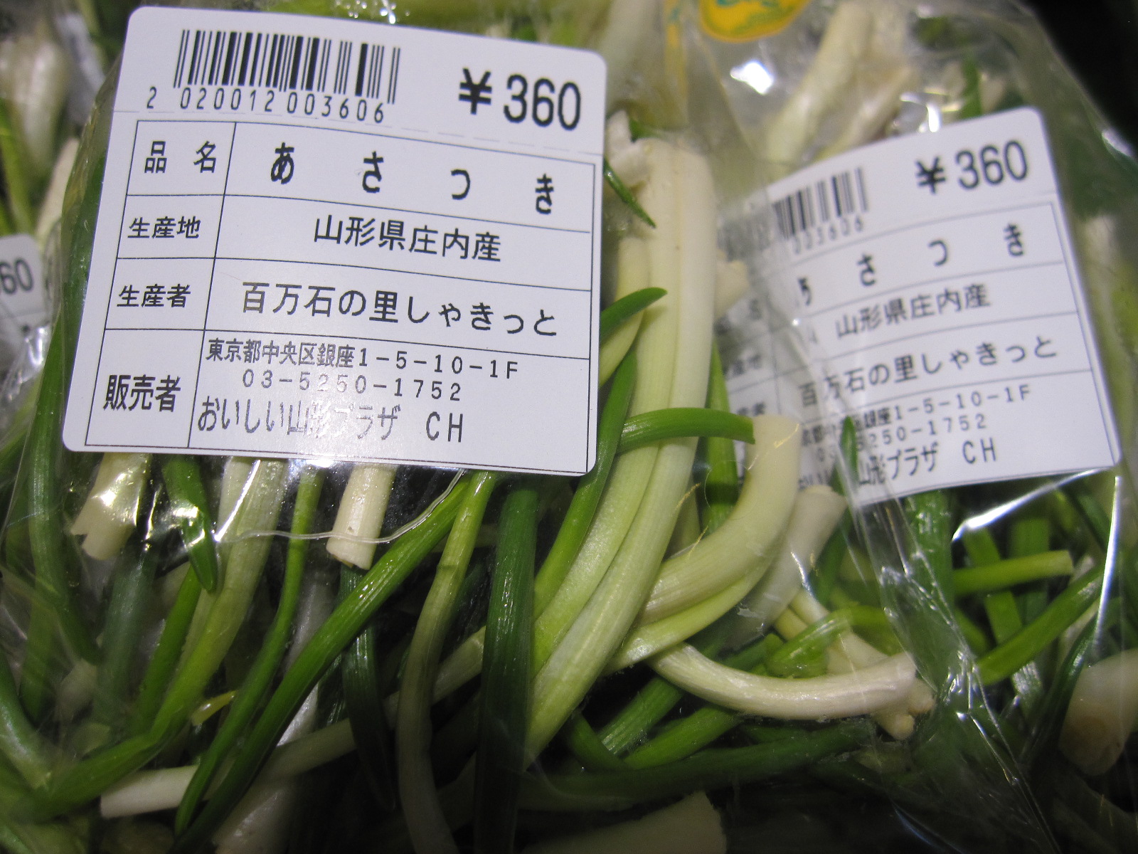 あさつき