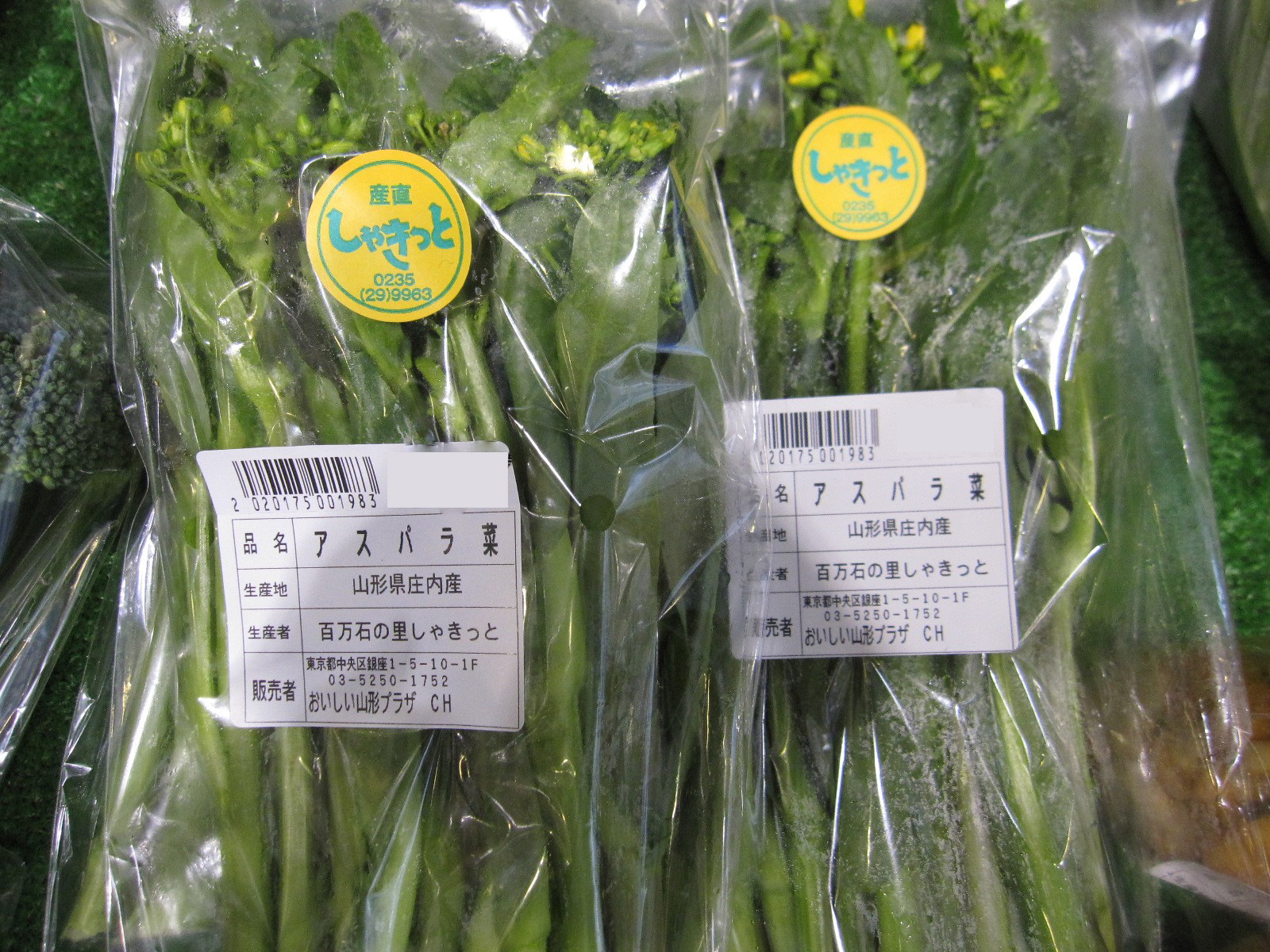 アスパラ菜
