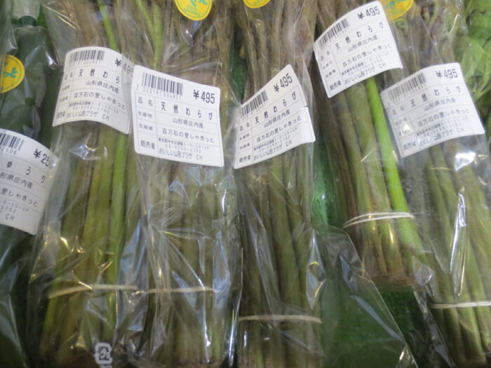 山菜（各種）