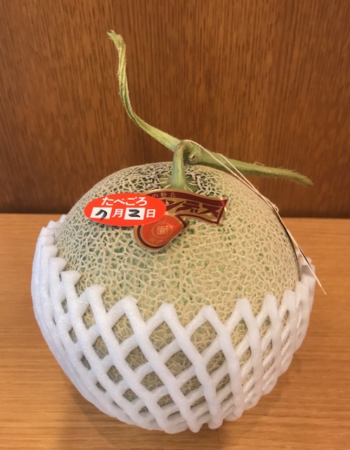 庄内砂丘メロン